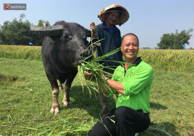 Nông dân Hội An thu đô la nhờ xịt nước hoa, bôi phấn cho… trâu để làm du lịch - Ảnh 3.