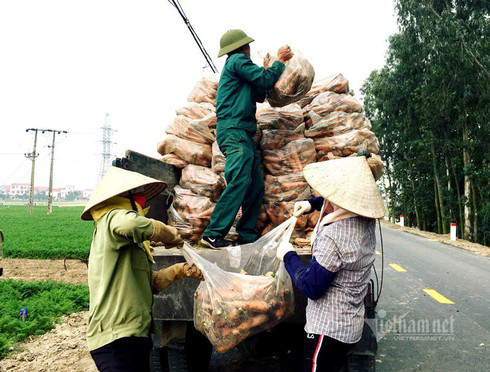 Nông dân kể chuyện chia nhau 100 tỷ trên cánh đồng rực đỏ - Ảnh 3.