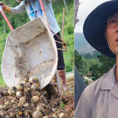 Nông dân khốn khổ vì nông sản Trung Quốc nhái hàng Đà Lạt: "3 tháng trồng khoai không bán được đồng nào, chỉ biết khóc..."