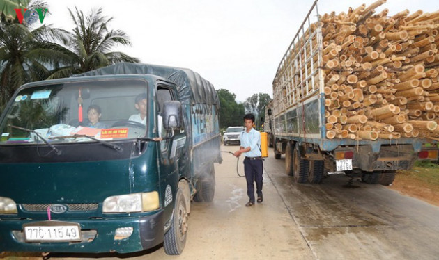 Nông dân “tiến thoái lưỡng nan” với đàn lợn nuôi ở vùng dịch - Ảnh 3.