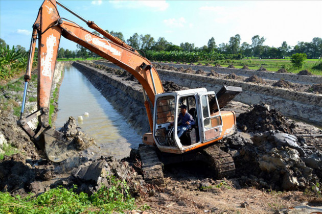 Nông dân trồng mít Thái trên đất lúa: Ồ ạt dễ dẫn đến kết quả thảm bại - Ảnh 5.