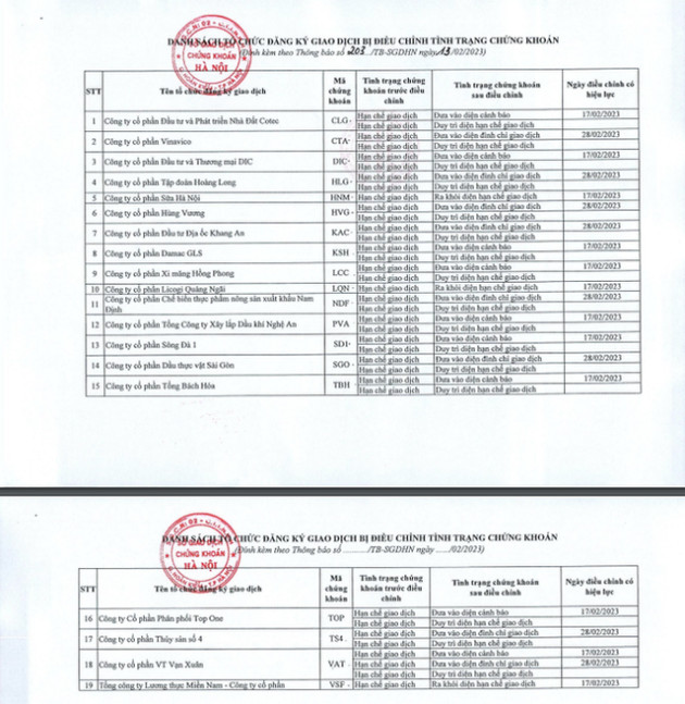 Nóng: Đình chỉ loạt cổ phiếu, công ty con của Tân Hoàng Minh vào tầm ngắm - Ảnh 1.