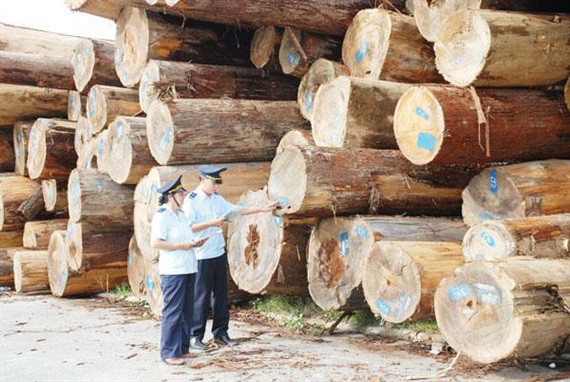 Nông sản Việt trong vòng xoáy chiến tranh thương mại: Những mặt hàng hưởng lợi - Ảnh 2.