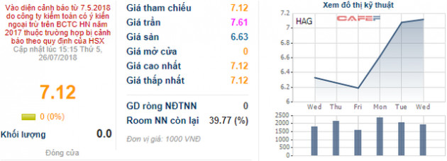 Nóng vụ vỡ đập – HAGL khẳng định không bị ảnh hưởng kinh doanh, cổ phiếu vẫn cắm đầu chạy - Ảnh 1.