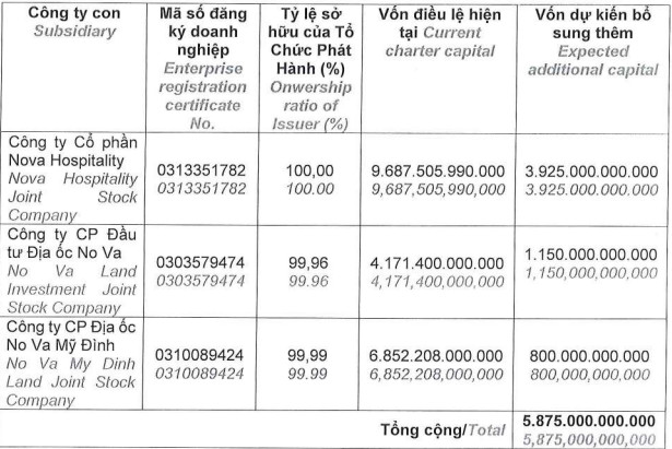 Novaland (NVL) muốn huy động gần 5.900 tỷ đồng từ trái phiếu rót vốn cho công ty con - Ảnh 1.