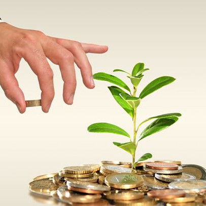 NTL, DNP, PGT, HKT, DXL, HFT, RIC, QNU, LG9: Thông tin giao dịch lượng lớn cổ phiếu