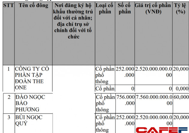 Nữ đại gia 26 tuổi rót 7.600 tỷ đồng vào Bến Thành Holdings từng thâu tóm 2 toà lâu đài của Khải Silk, muốn đổ bộ Quảng Ninh với loạt dự án tầm cỡ - Ảnh 1.