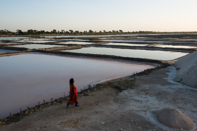 Nữ hoàng muối Senegal: Cứu cả một thế hệ đất nước nhờ thứ gia vị màu trắng - Ảnh 2.