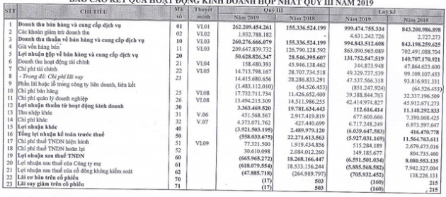 Ô tô TMT: 9 tháng lỗ 6 tỷ đồng trong khi kỳ vọng 2019 có lãi gần 62 tỷ đồng - Ảnh 1.