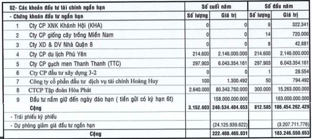 Ôm hàng triệu cổ phiếu HPG, một doanh nghiệp báo lãi 9 tháng giảm 29% do trích lập dự phòng - Ảnh 1.