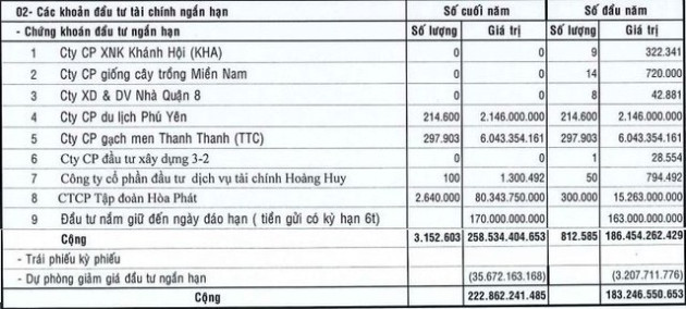 Ôm hàng triệu cổ phiếu HPG, một doanh nghiệp đá báo lãi quý 4/2022 giảm gần 65% - Ảnh 2.