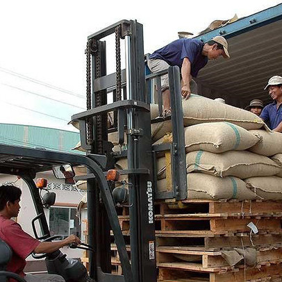 Ôm trái đắng vì bán hàng nhưng lơ mơ về luật