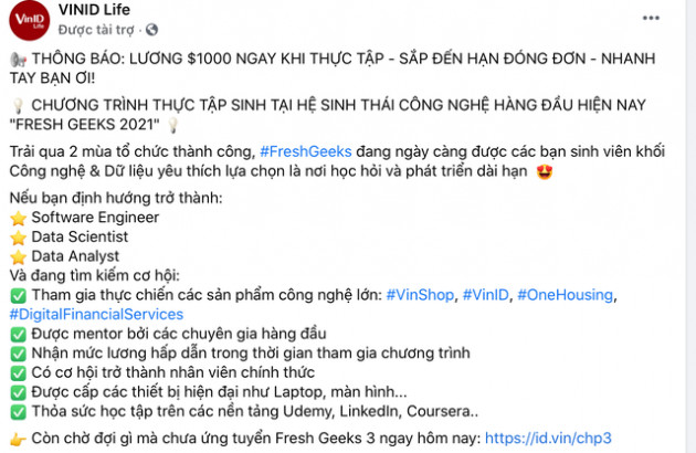 One Mount Group - nền tảng công nghệ thuộc Vingroup và Techcombank - chiêu ngộ nhân tài, chi trả mức lương 1.000 USD cho vị trí thực tập - Ảnh 1.