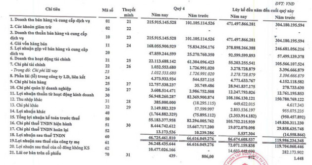 Ông chủ dự án Vườn Vua (TIG) lãi 87 tỷ đồng, giảm 28% so với năm 2019 - Ảnh 1.