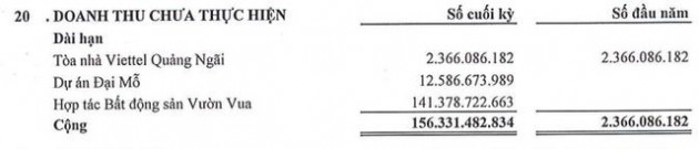 Ông chủ dự án Vườn Vua (TIG) lãi 87 tỷ đồng, giảm 28% so với năm 2019 - Ảnh 2.