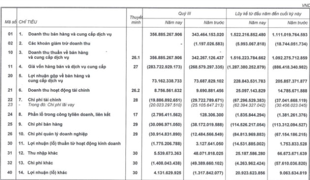 Ông Mai Hữu Tín tuyên bố “TTF đã qua điểm hoà vốn và bước vào tăng trưởng”, song lãi 9 tháng vẫn giảm 35%, chỉ đạt 10% chỉ tiêu 2022 - Ảnh 1.