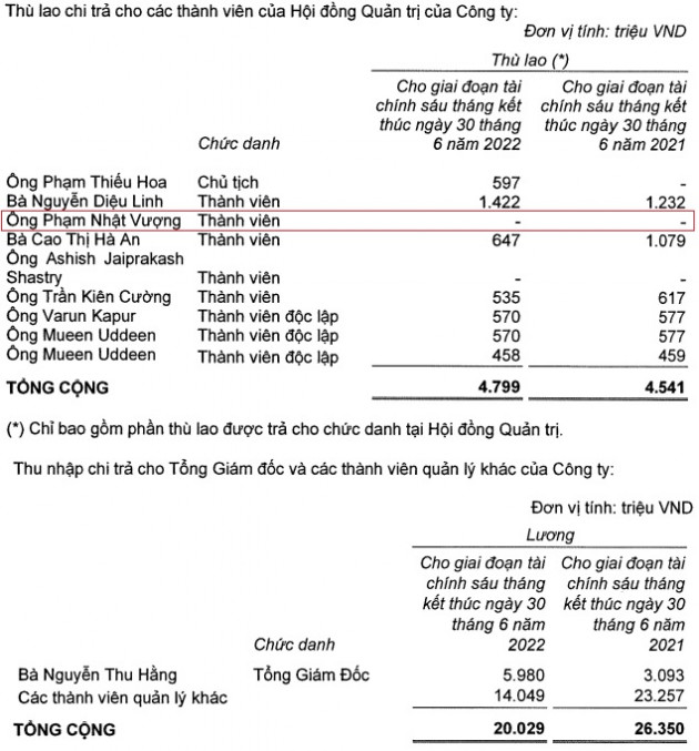 Ông Phạm Nhật Vượng nhận thù lao 0 đồng - Ảnh 3.