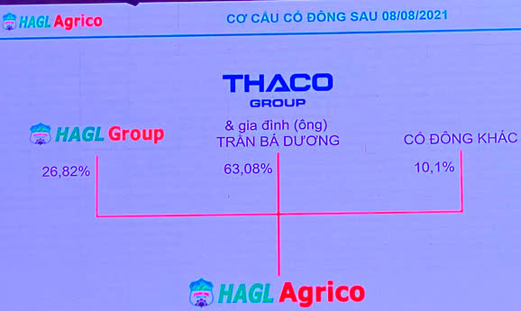 Ông Trần Bá Dương: Làm nông nghiệp nói chung và làm Chủ tịch HAGL Agrico nói riêng, với tôi là bất đắc dĩ! - Ảnh 1.