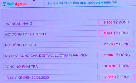 Ông Trần Bá Dương: Làm nông nghiệp nói chung và làm Chủ tịch HAGL Agrico nói riêng, với tôi là bất đắc dĩ! - Ảnh 2.