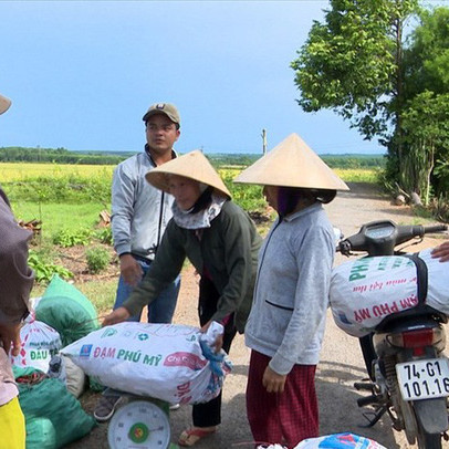 Ớt không được thu mua như cam kết, địa phương đứng ra “giải cứu”