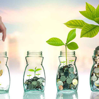 PAC, FRT, FPT, LDG, TVS, SAM, BWE, DQC, BMI, HSG, GIL: Thông tin giao dịch lượng lớn cổ phiếu