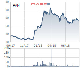 PAN Group thông qua phương án phát hành 1.135 tỷ đồng trái phiếu không chuyển đổi - Ảnh 1.