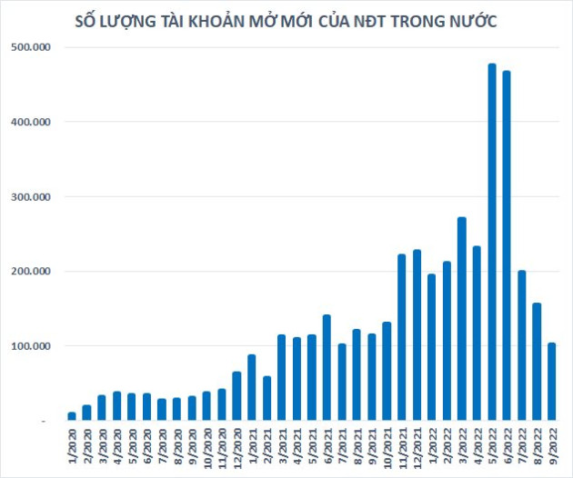 P/E của VN-Index lùi về mức 10,x tương đương đáy Covid, thị trường có thực sự rẻ? - Ảnh 2.