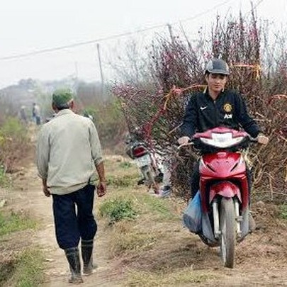 Phải nghỉ Tết sớm, môi giới bất động sản đi chạy xe ôm, giao hàng kiếm tiền lo Tết