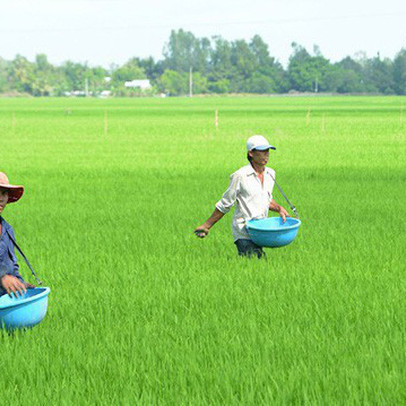 Phân bón Bình Điền (BFC): Kế hoạch lãi trước thuế 290 tỷ đồng, giảm 7% so với năm 2018