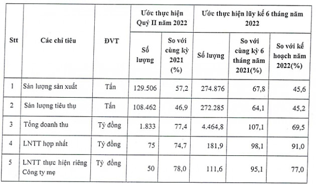 Phân bón Bình Điền lãi quý II ước giảm 26%, sản lượng tiêu thụ giảm hơn một nửa - Ảnh 1.