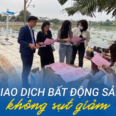 Phân khúc nào có tốc độ tăng giá mạnh nhất trong 6 tháng đầu năm?