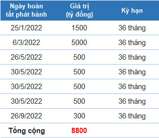 Phát hành đợt thứ 7 trong năm nay, VinFast đã huy động gần 9.000 tỷ đồng trái phiếu do Vingroup bảo lãnh thanh toán - Ảnh 1.