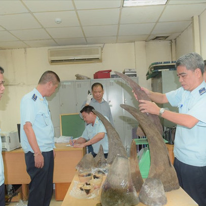 Phát hiện lô hàng khủng toàn sừng tê giác tại sân bay Nội Bài