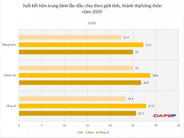 Phát hiện mới trong thống kê giới Việt Nam 2020: Người dân ở vùng nào dễ ế nhất? - Ảnh 3.