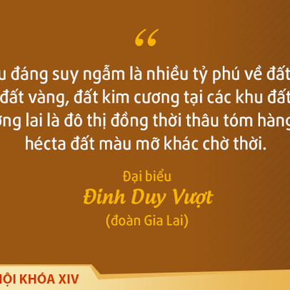 Phát ngôn làm nóng nghị trường: Nhiều tỷ phú ôm đất vàng, đất kim cương để chờ thời!