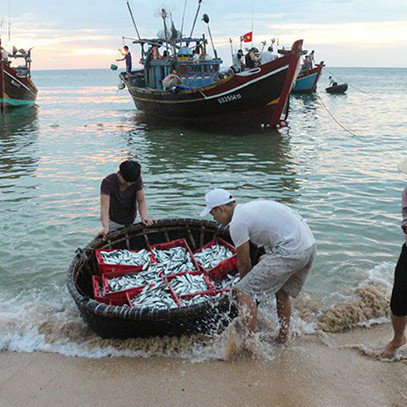 Phạt tới 2 tỷ đồng nếu vi phạm trong lĩnh vực khai thác thủy sản