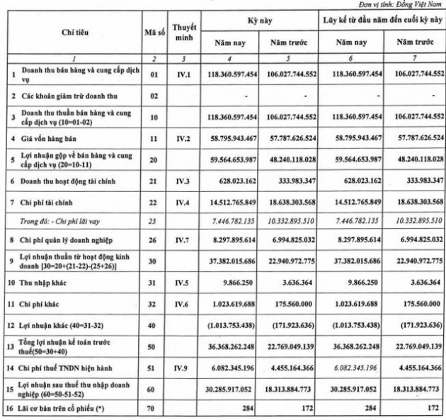 Phát triển Điện lực Việt Nam (VPD) báo lãi quý 1 tăng 65% so với cùng kỳ, hoàn thành hơn 26% kế hoạch năm - Ảnh 1.