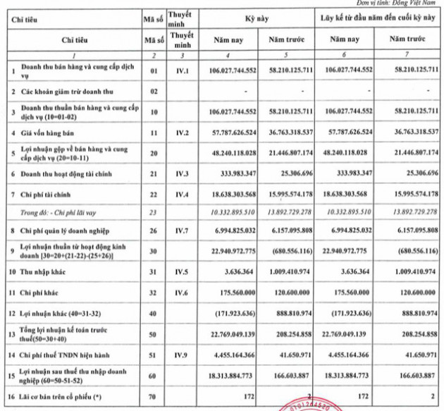 Phát triển Điện lực Việt Nam (VPD): Quý 1 lãi 18 tỷ đồng, tăng mạnh so với cùng kỳ - Ảnh 1.