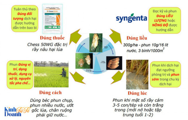 Phía sau những lọ thuốc trừ sâu bị vứt bỏ ngoài ruộng - Ảnh 2.