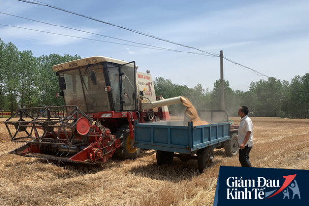  Phía sau quyết định về quê cày cuốc của hàng triệu lao động TQ: Nỗi đau và những giấc mơ dang dở - Ảnh 2.