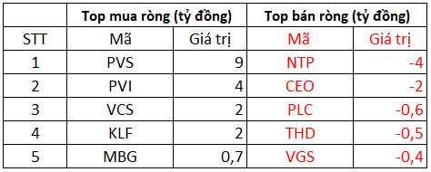 Phiên 11/1: Khối ngoại bất ngờ trở lại mua ròng, tập trung gom VIC, DXG trong khi bán mạnh FLC, DGC - Ảnh 2.