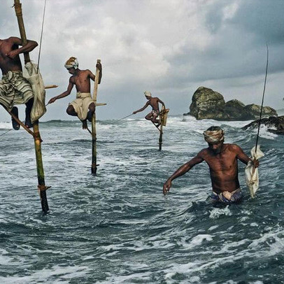 Phiên 20/4: Khối ngoại mua ròng 444 tỷ đồng trong ngày thị trường giảm sâu, tâm điểm "gom" GEX, DPM
