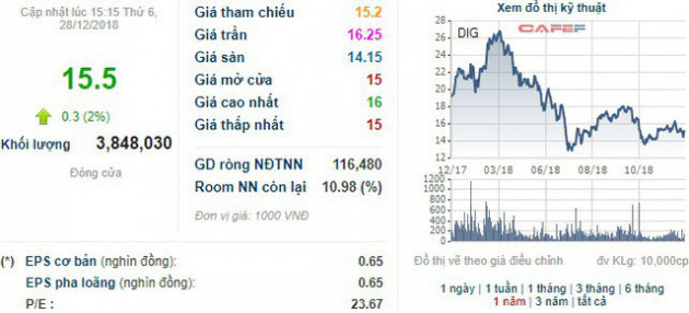 Phó Chủ tịch DIC Corp đăng ký mua 2 triệu cổ phiếu DIG - Ảnh 1.