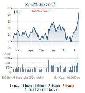 Phó Chủ tịch HĐQT của DIC Corp không mua hết lượng cổ phiếu DIG đã đăng ký - Ảnh 1.