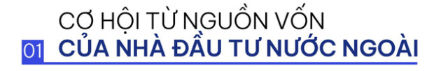 Phó TGĐ KPMG: “Những rung lắc của thị trường lúc này là bình thường, tôi khẳng định Việt Nam vẫn rất hấp dẫn trong mắt NĐT nước ngoài” - Ảnh 1.