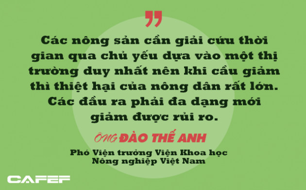 Phó Viện trưởng Viện Khoa học Nông nghiệp Việt Nam: Người thành thị không nên tham gia giải cứu nông sản! - Ảnh 3.