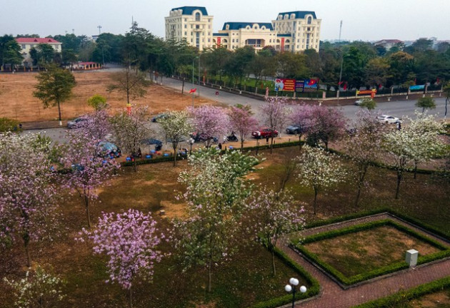 [Photo Essay] Bất động sản Mê Linh chuẩn bị bước vào chu kỳ mới - Ảnh 11.