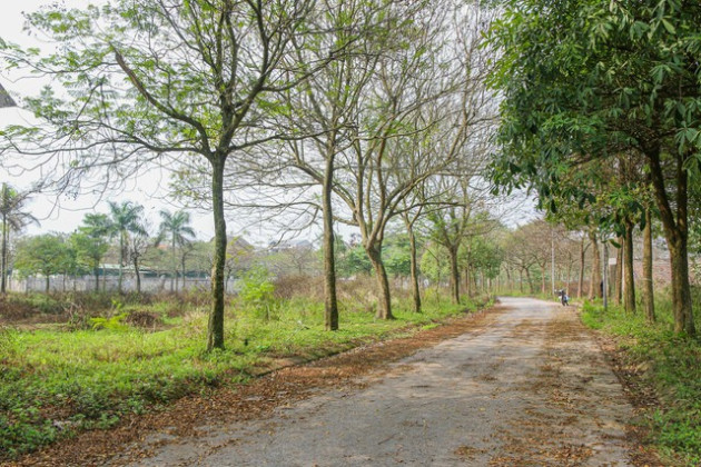 [Photo Essay] Sắp lên thành phố phía Bắc Hà Nội, làng biệt thự Mê Linh - nơi chôn vùi hàng nghìn tỷ đồng của nhà đầu tư hiện nay ra sao? - Ảnh 5.