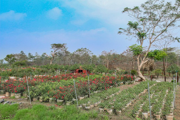 [Photo Essay] Sắp lên thành phố phía Bắc Hà Nội, làng biệt thự Mê Linh - nơi chôn vùi hàng nghìn tỷ đồng của nhà đầu tư hiện nay ra sao? - Ảnh 8.