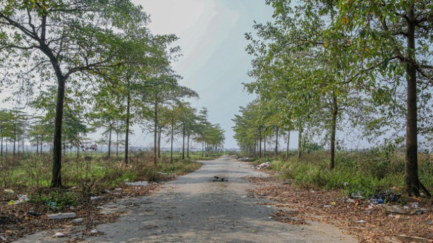 [Photo Essay] Sắp lên thành phố phía Bắc Hà Nội, làng biệt thự Mê Linh - nơi chôn vùi hàng nghìn tỷ đồng của nhà đầu tư hiện nay ra sao? - Ảnh 9.